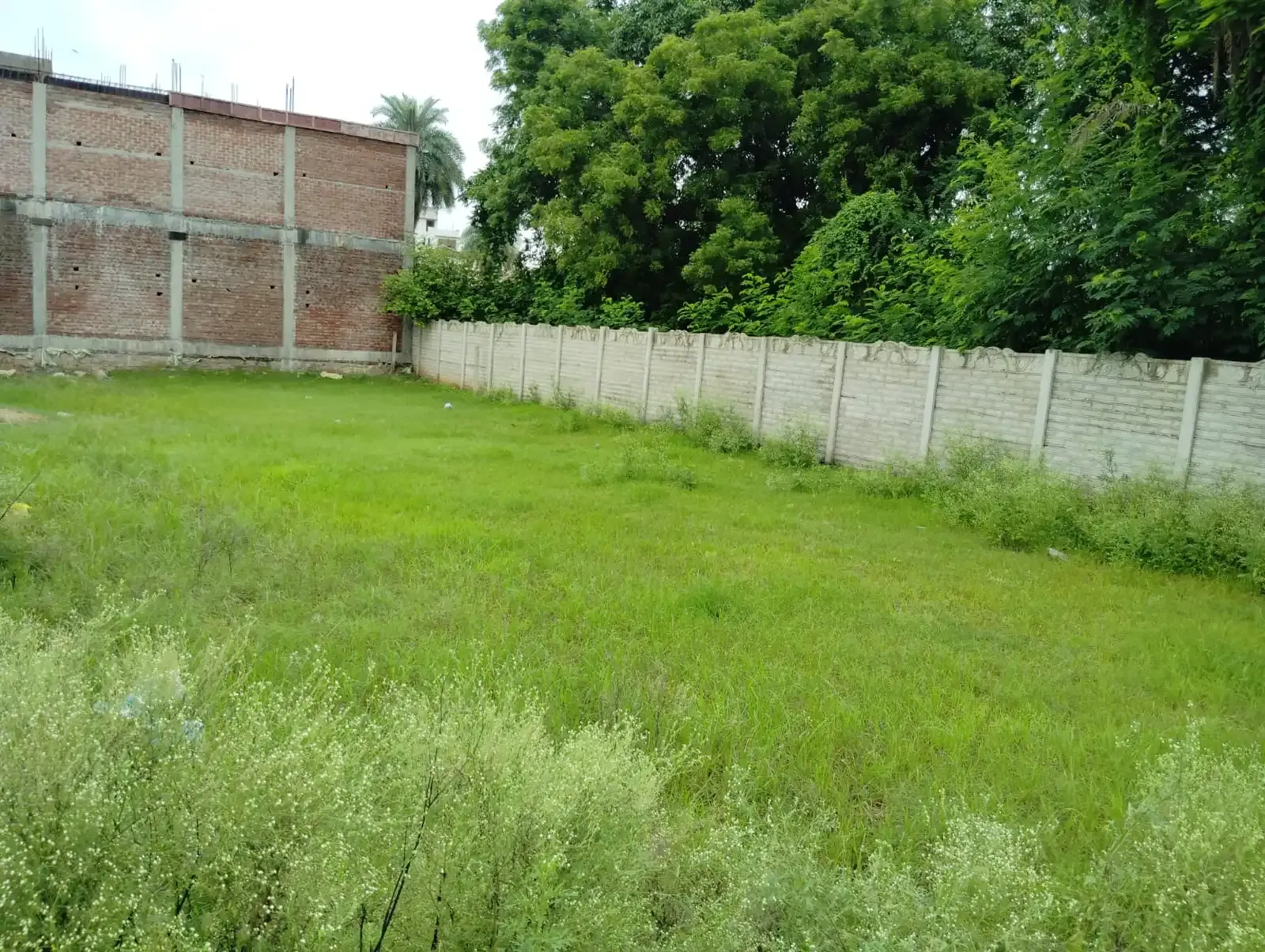 20×41 Park Facing Gwalior Nagar Nigam Approved Semi Commercial Plot for Sale in Bahodapur Square, Gwalior photo 4
